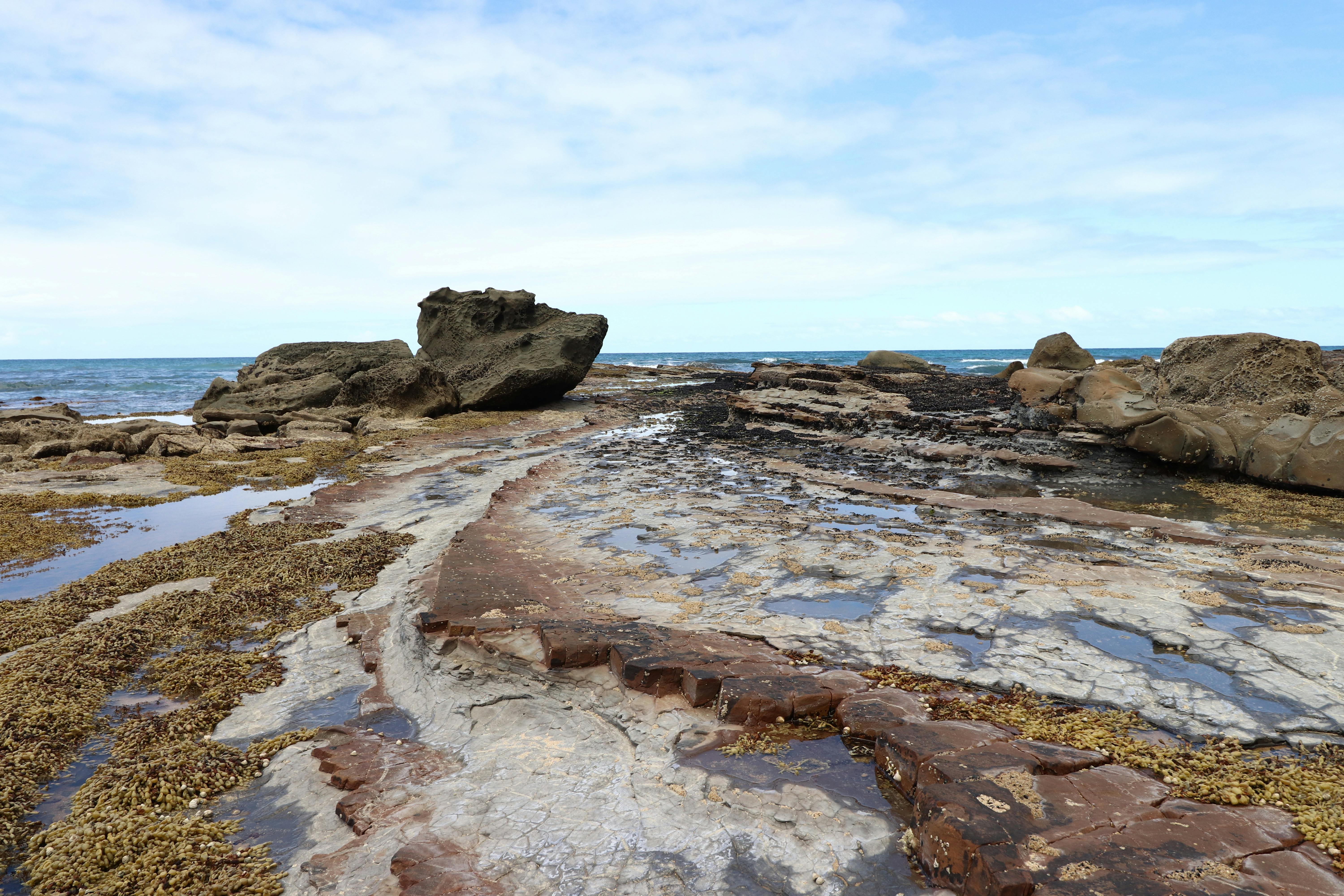 Beachcombing along the Great Ocean Road