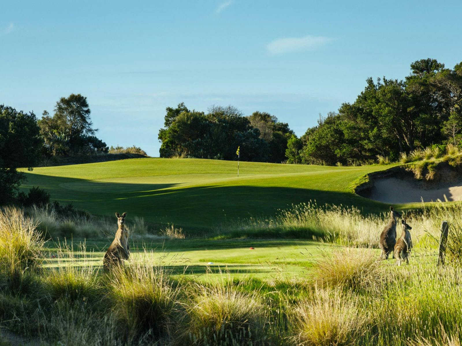 Mornington Peninsula Golf Tour