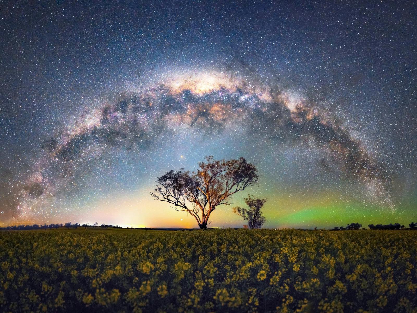 Image for Young Canola Field Milky Way Masterclass