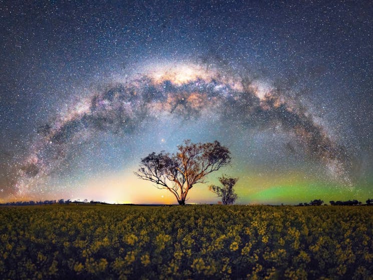 A 180 degree panoramic view of the Milky Way over bright yellow canola.