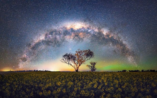 A 180 degree panoramic view of the Milky Way over bright yellow canola.