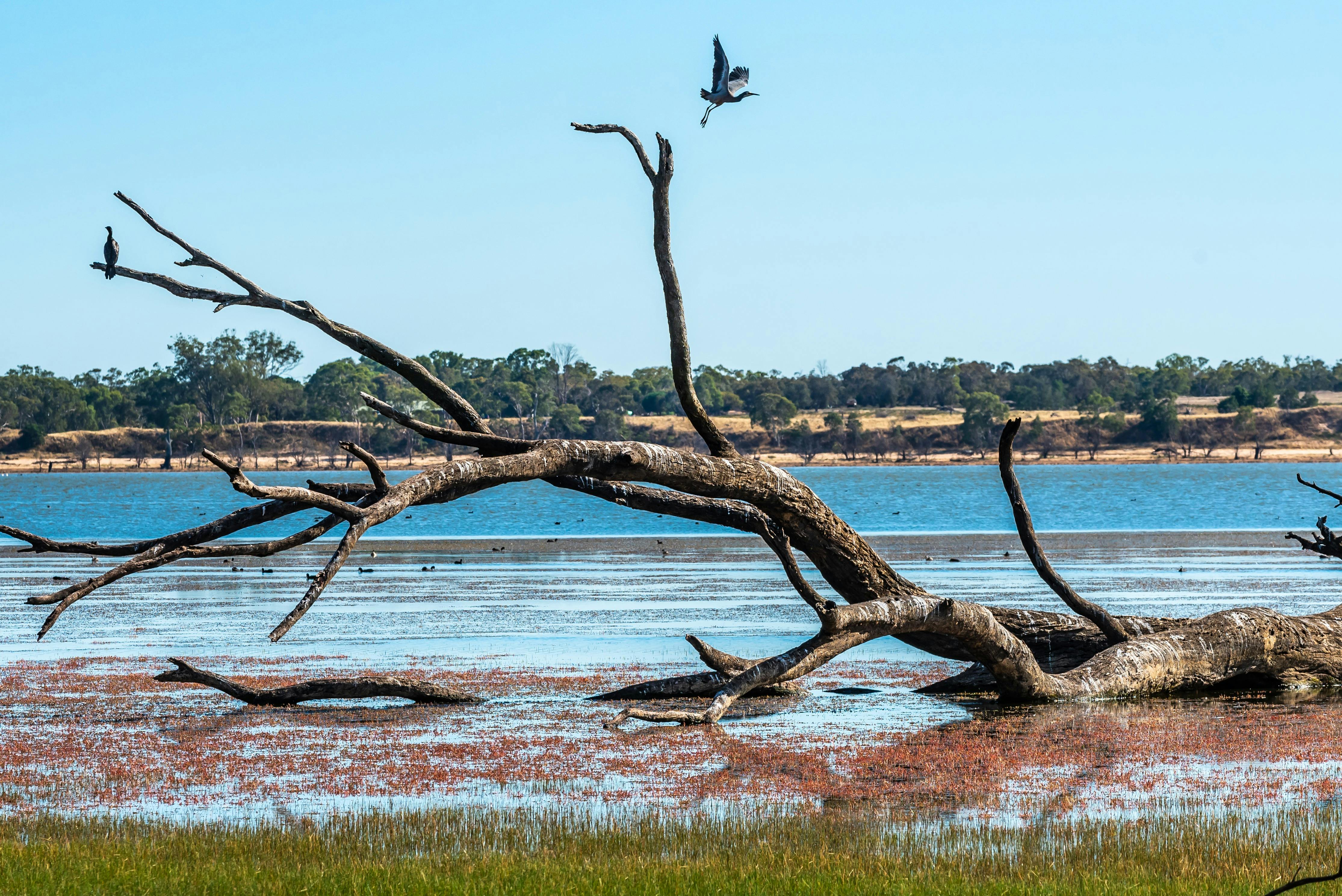 Lake Lonsdale