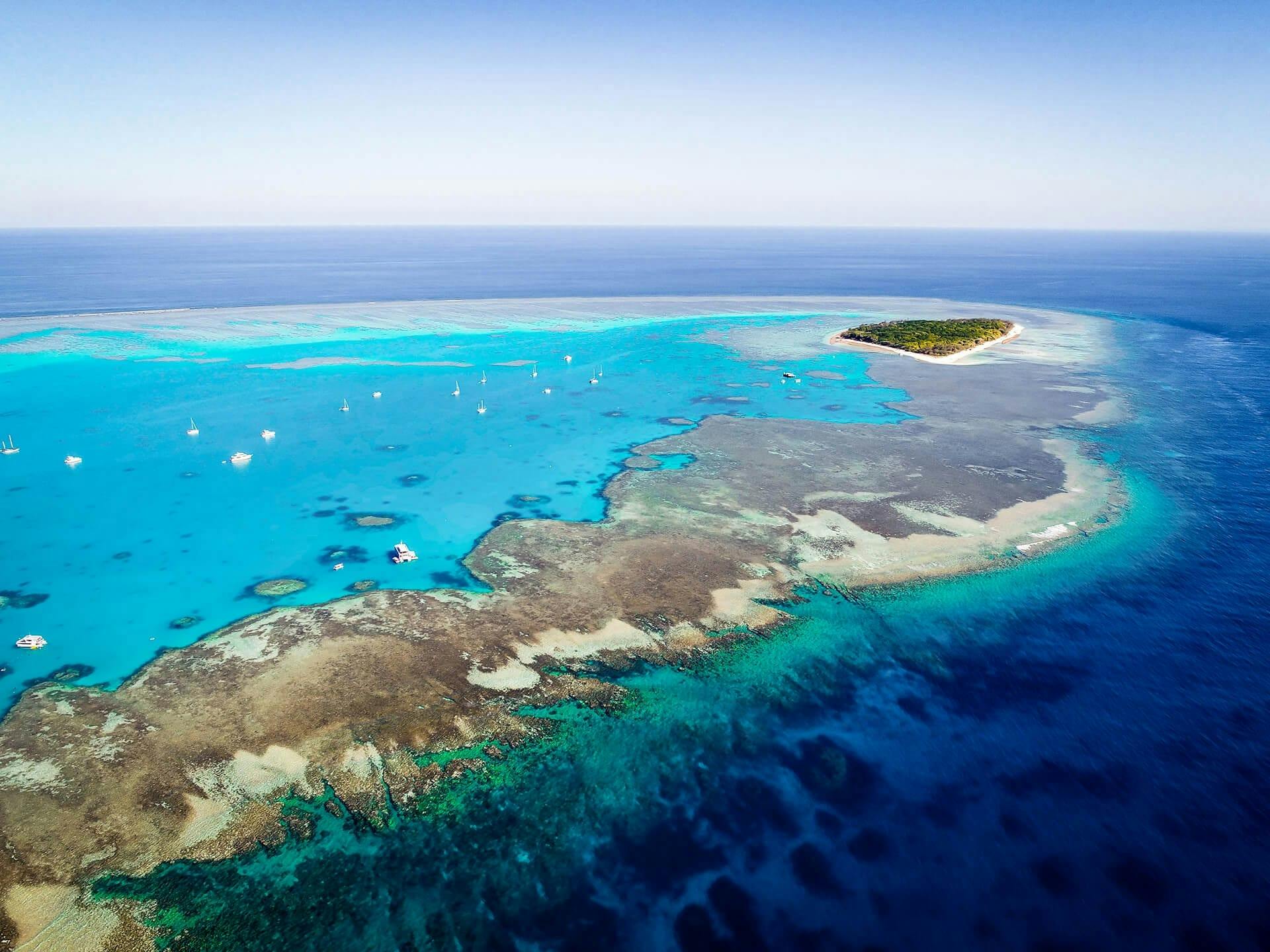 Iconic Queensland - Rainforest to the Reef 2026