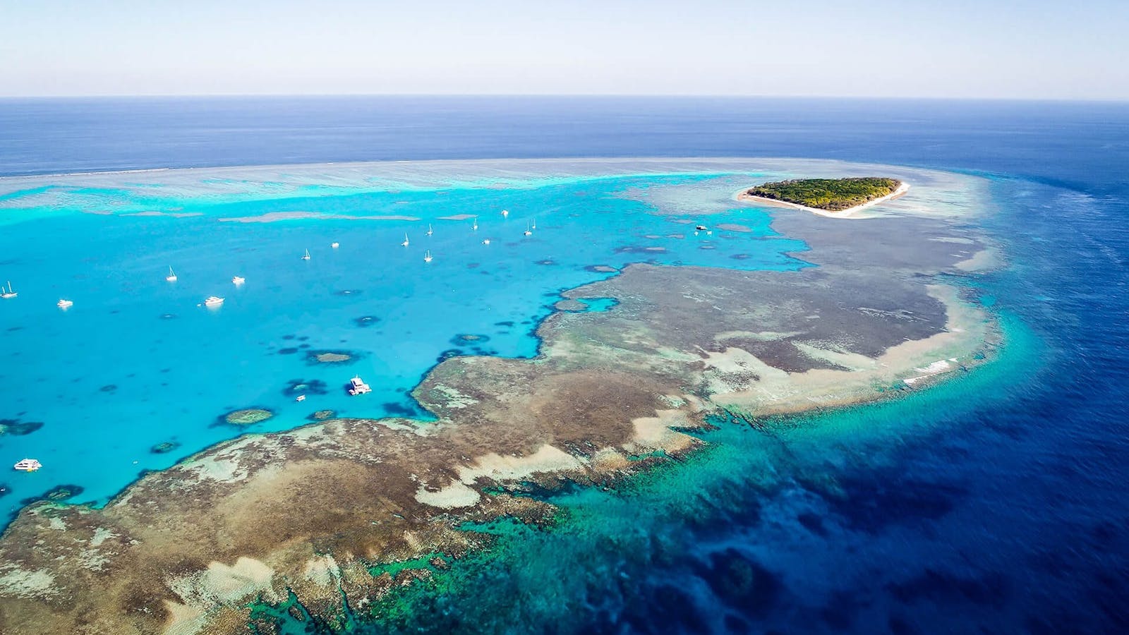 Lady Musgrave Island Lady Musgrave Island