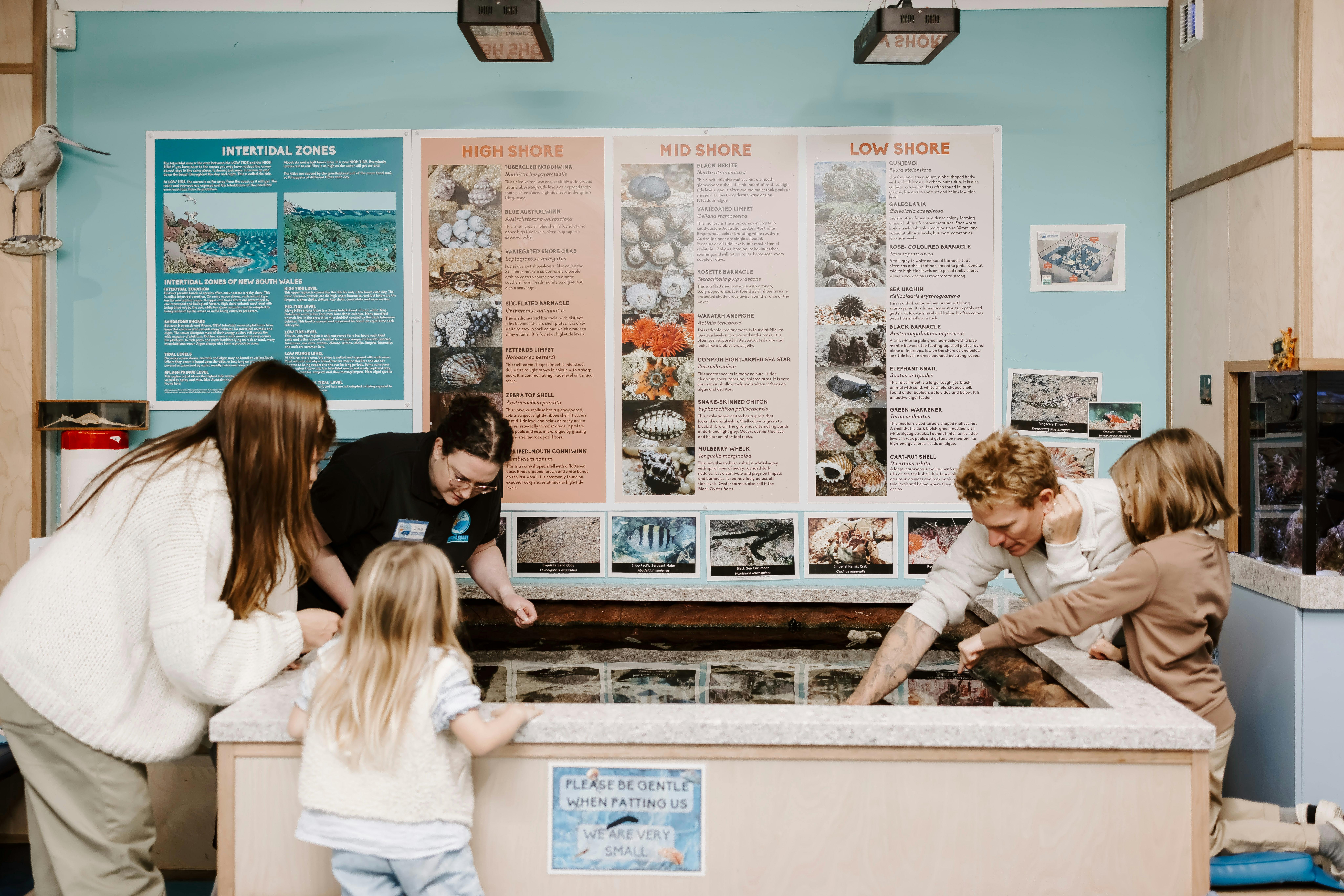 Central Coast Marine Discovery Centre
