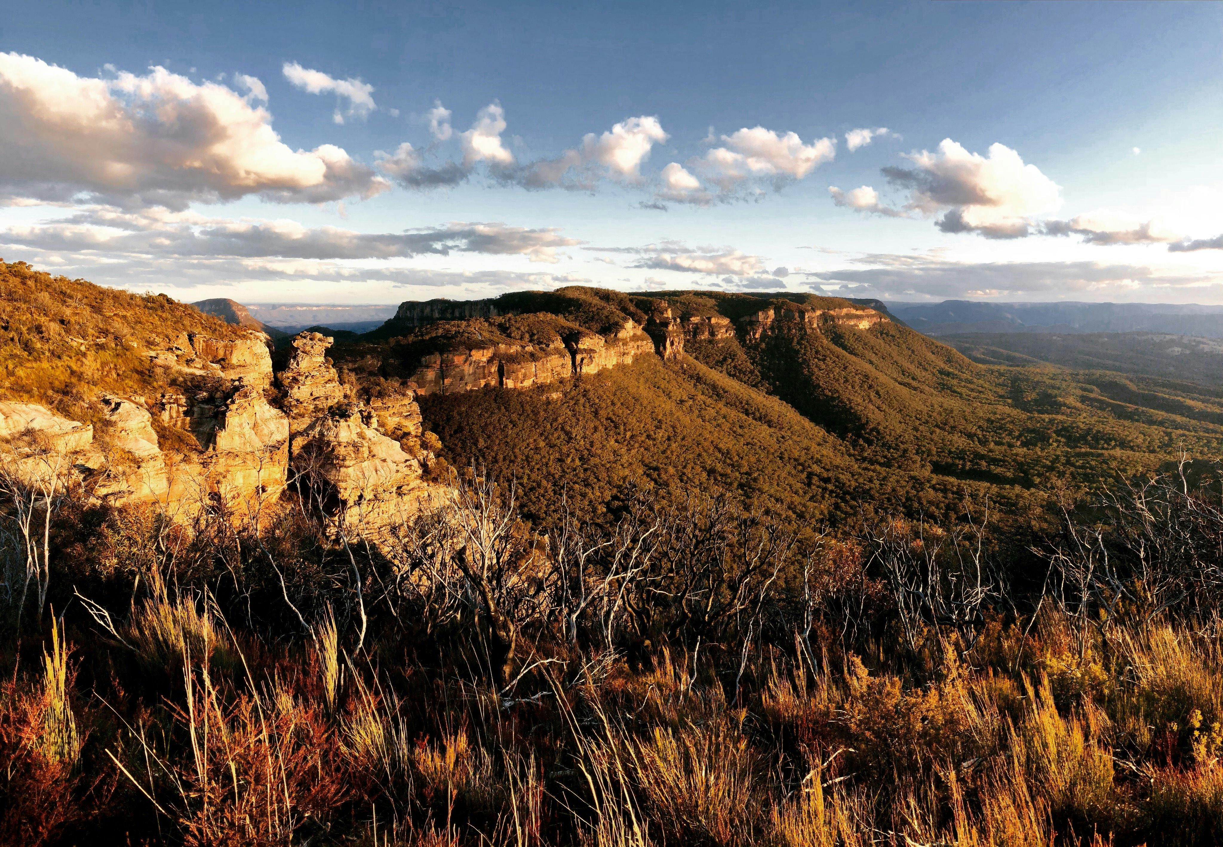 Blue Mountains Express Four Wheel Drive