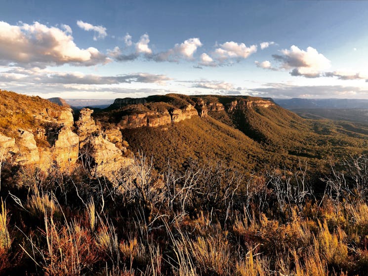 There are so many options for guests to enjoy everything the Blue Mountains has to offer