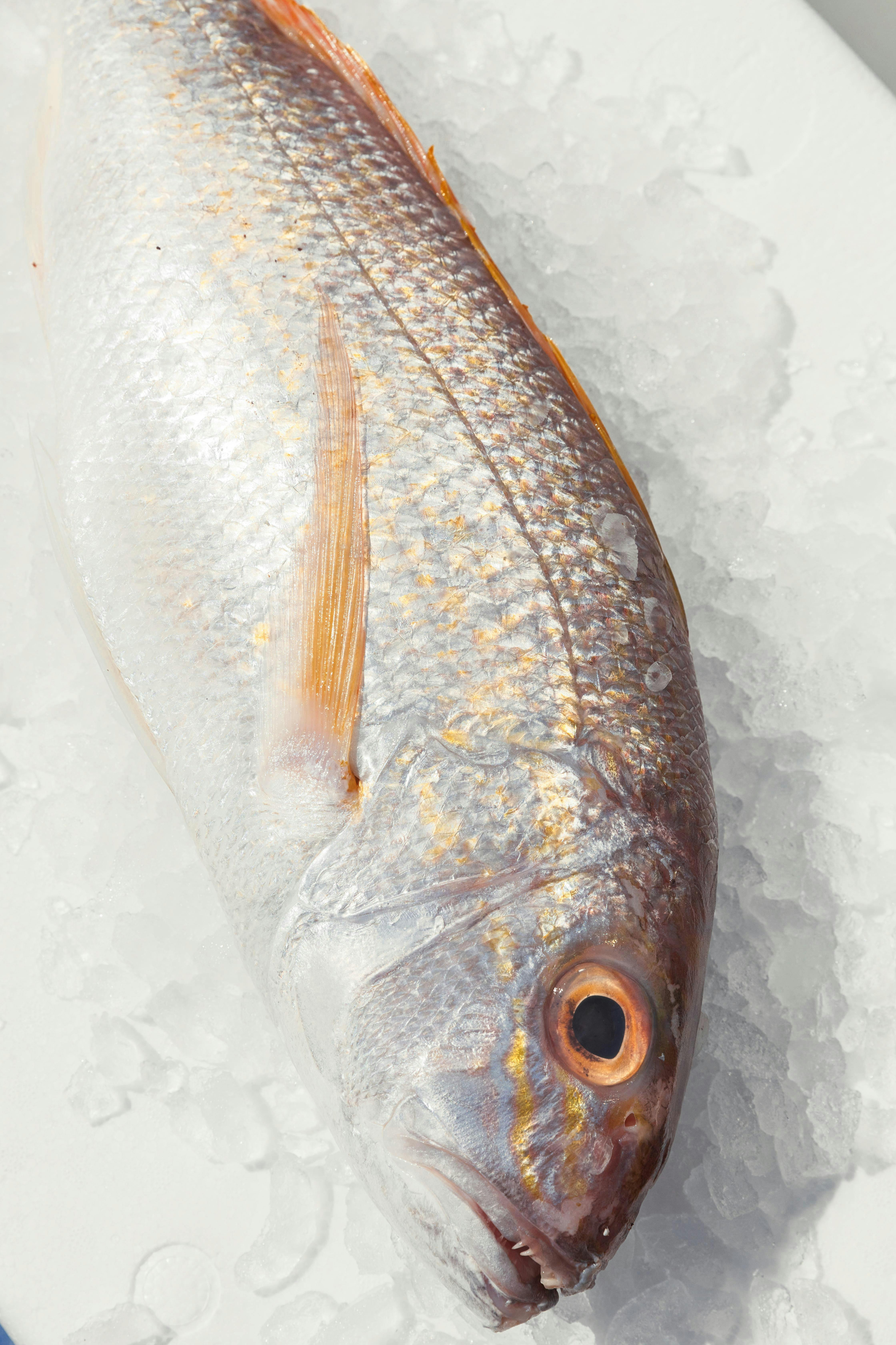 Rufus King Seafoods Amity Point