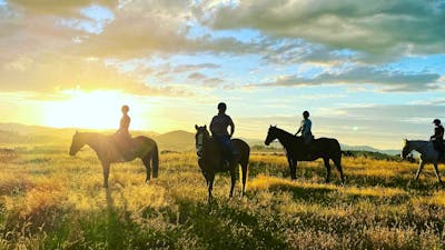 Gooromon Park Riding School