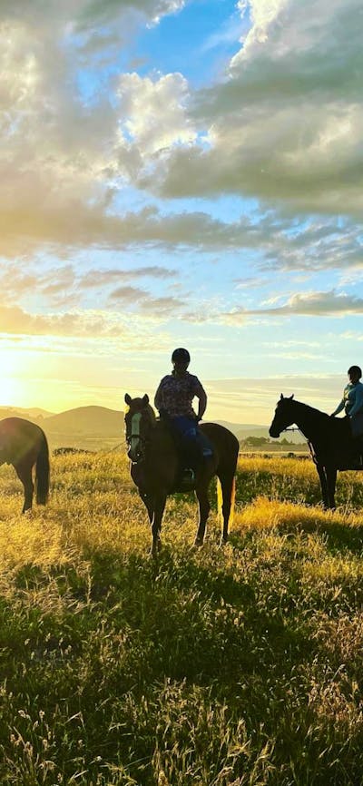 Gooromon Park Riding School
