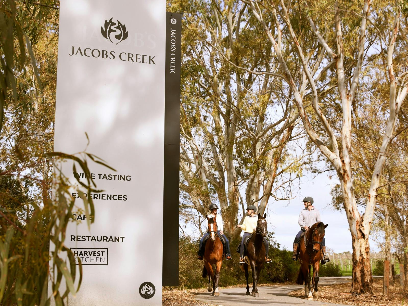 Jacob's Creek Horse Ride Experience