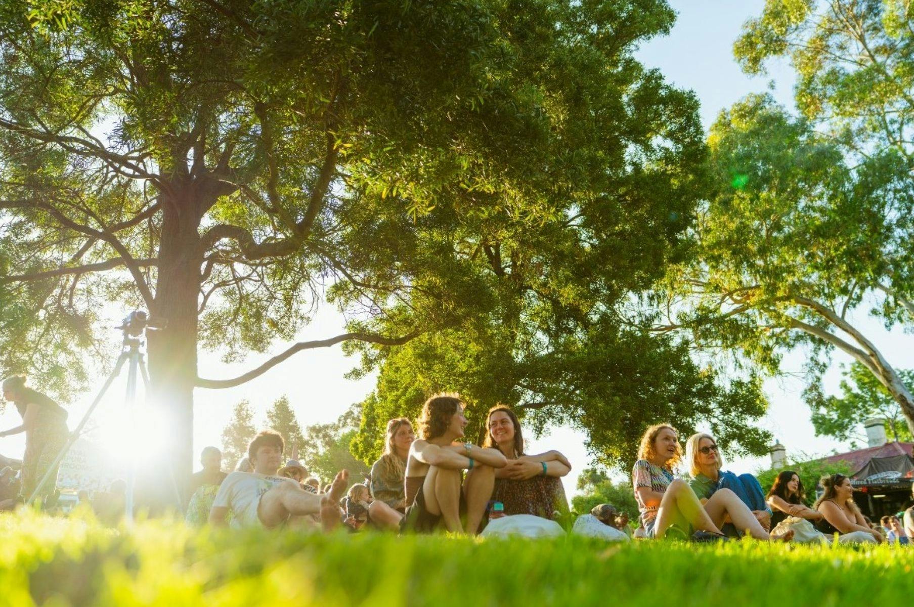 groups of people sitting on the grass under large trees enjoying the sunshine