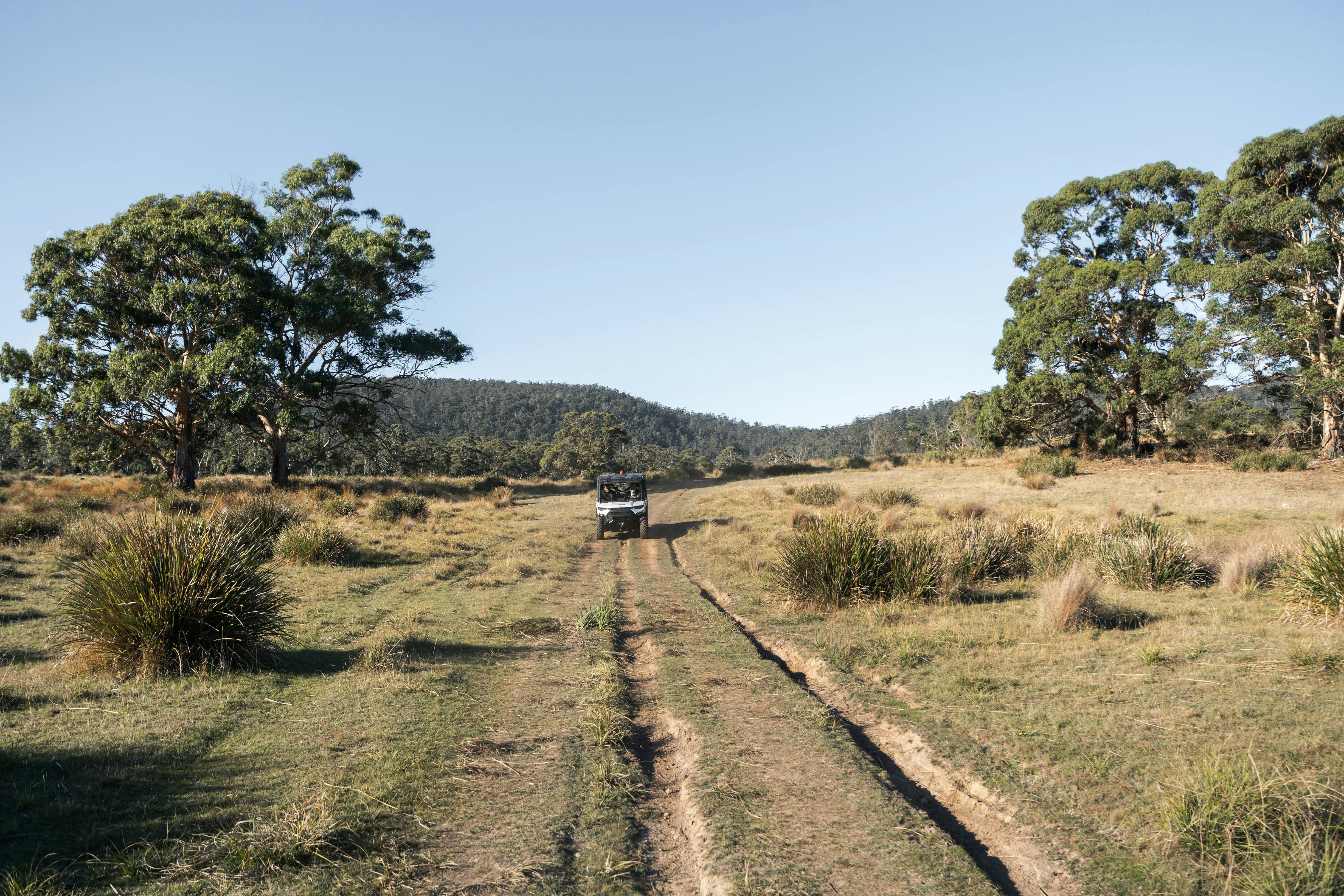 Bush Track