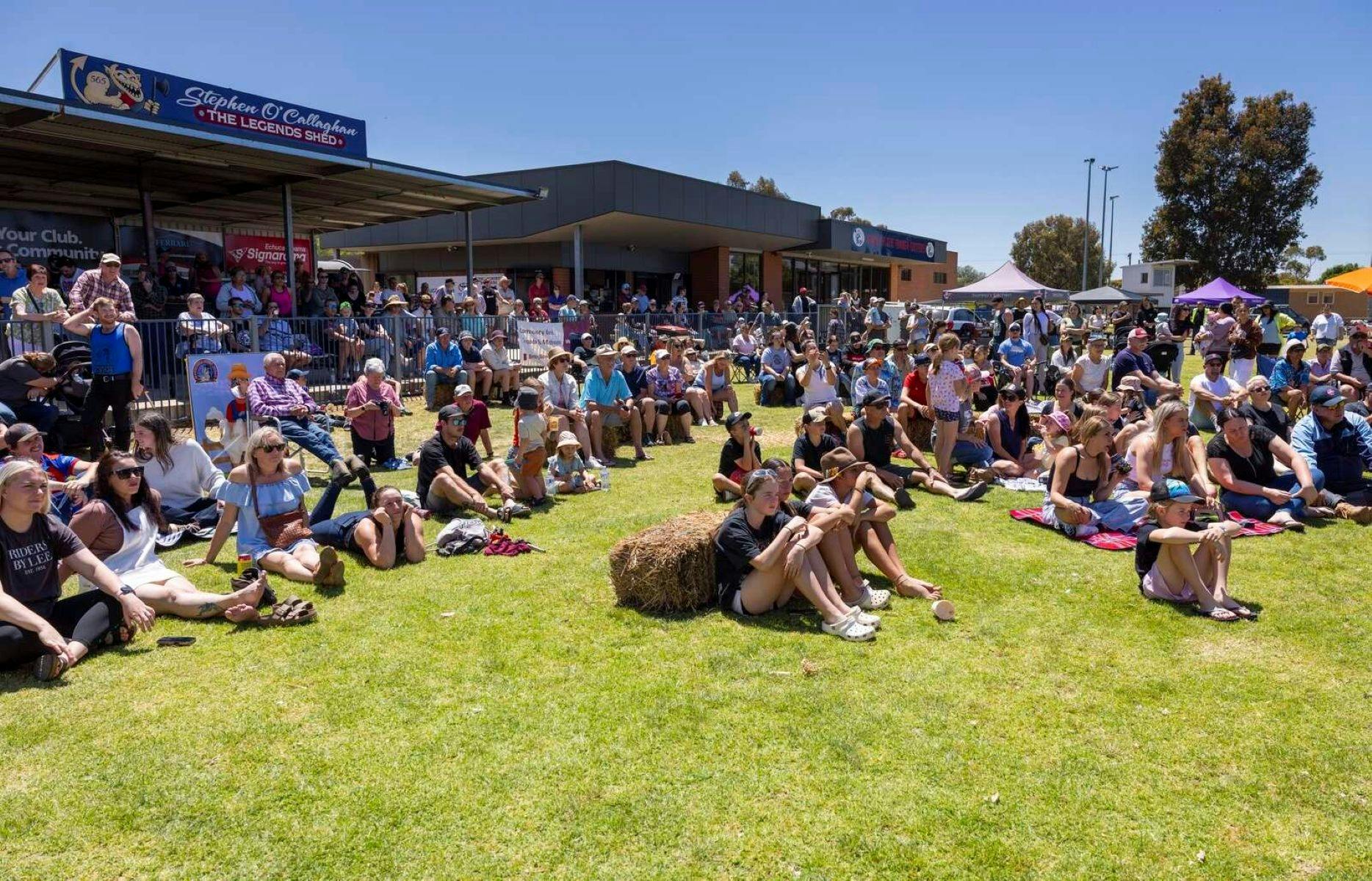 Mathoura Shearing Competition