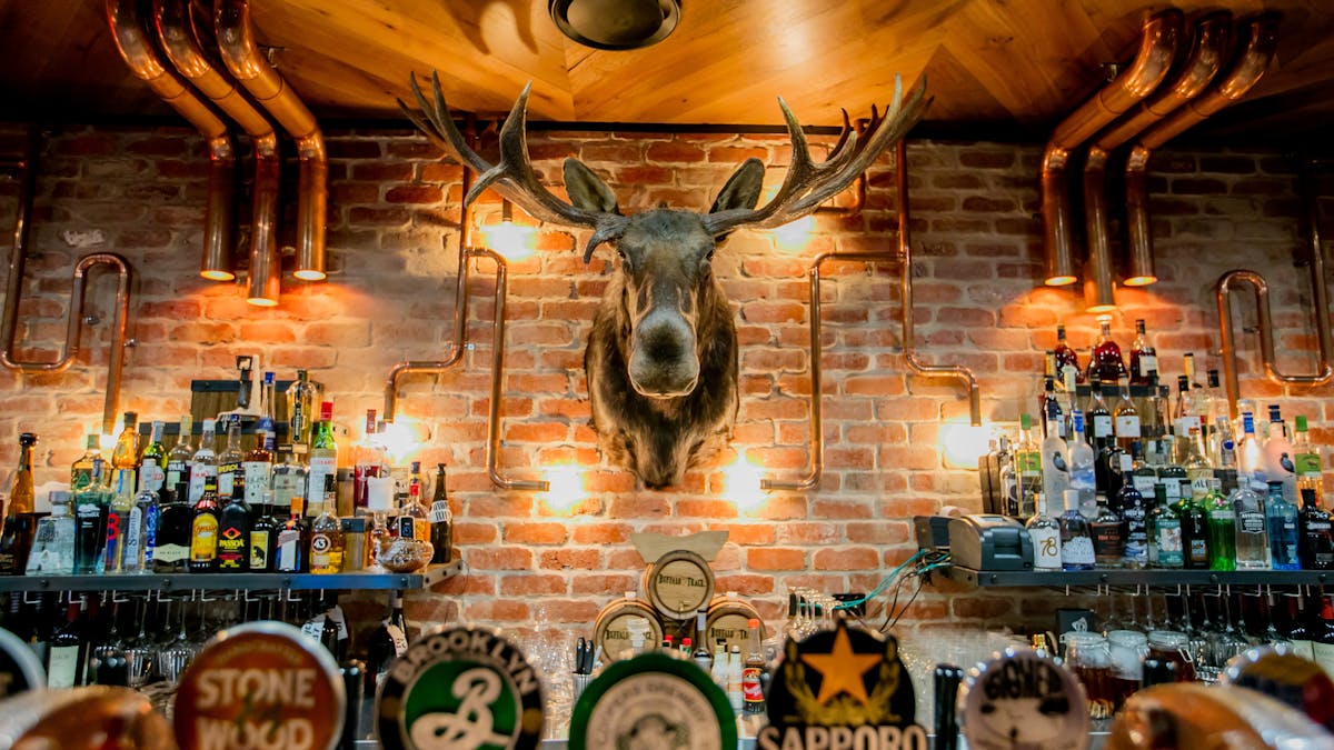 The Loose Moose Tap & Grill House