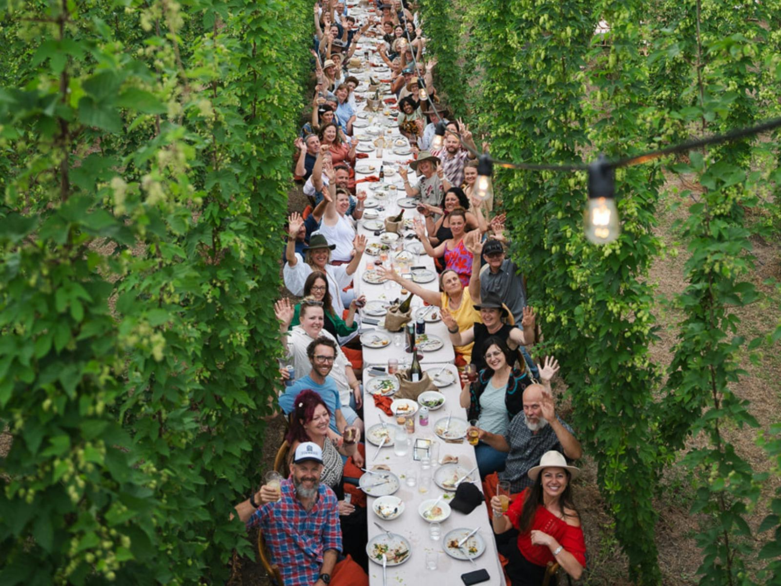 Ryefield Hops - Dine in the Bines