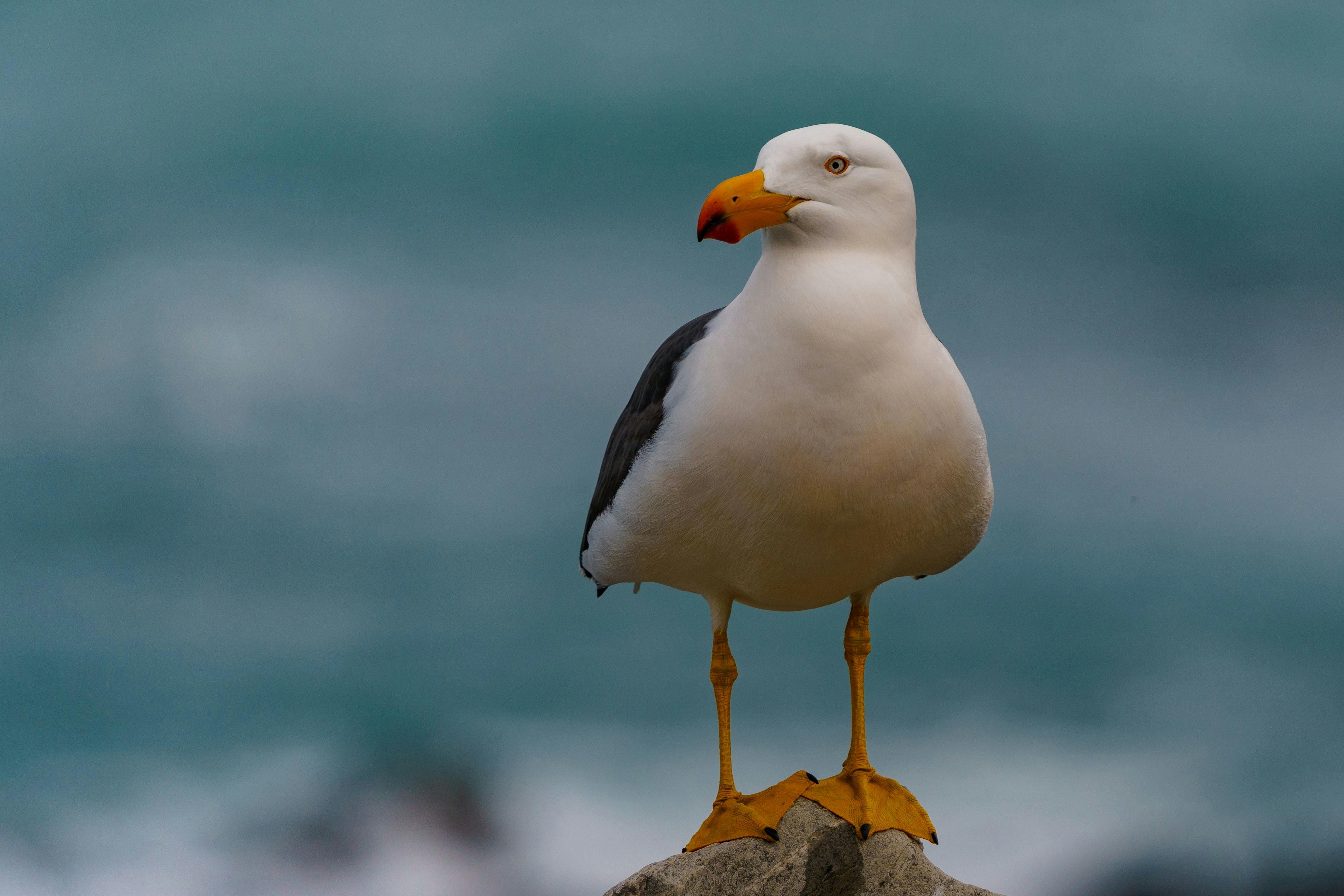 Fleurieu photography tour