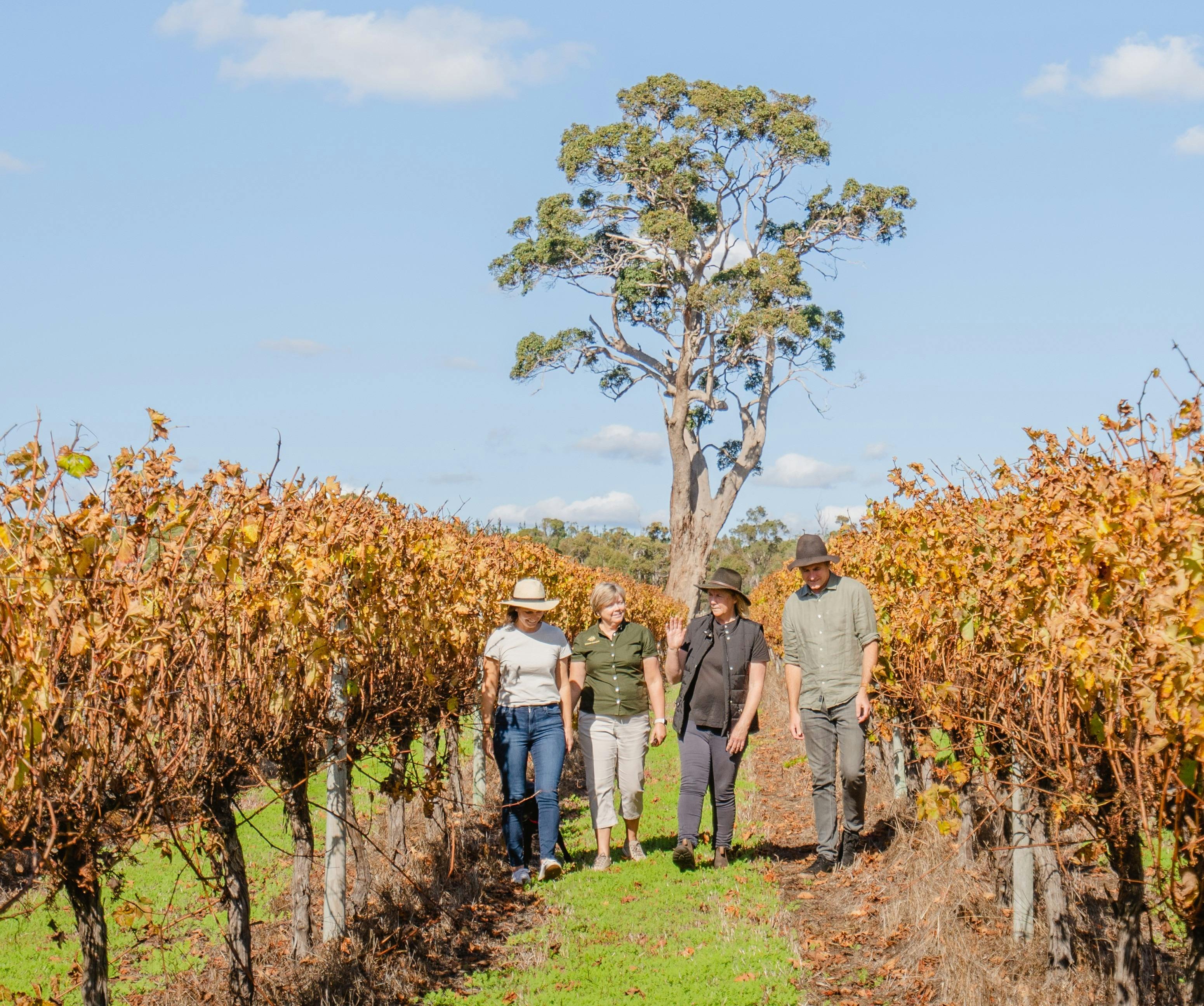 Full Day Tour - South West Trail