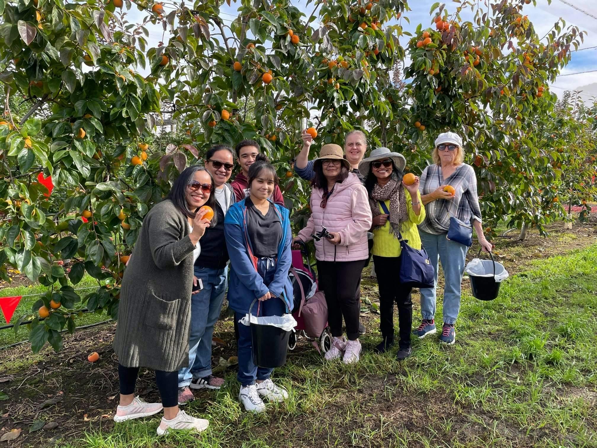 Apple & Persimmon Picking Tour