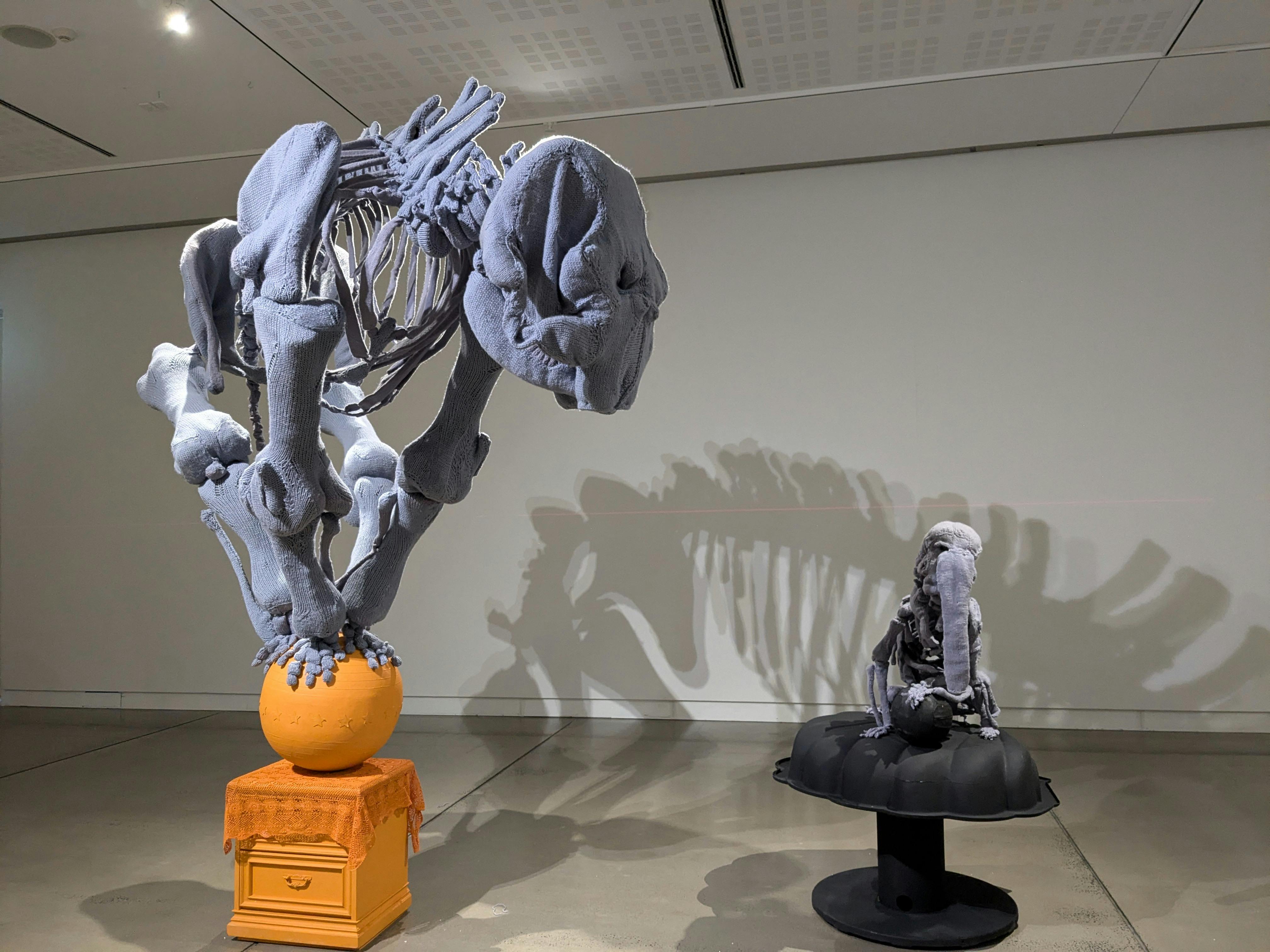 Michele Beevors - Anatomy Lessons