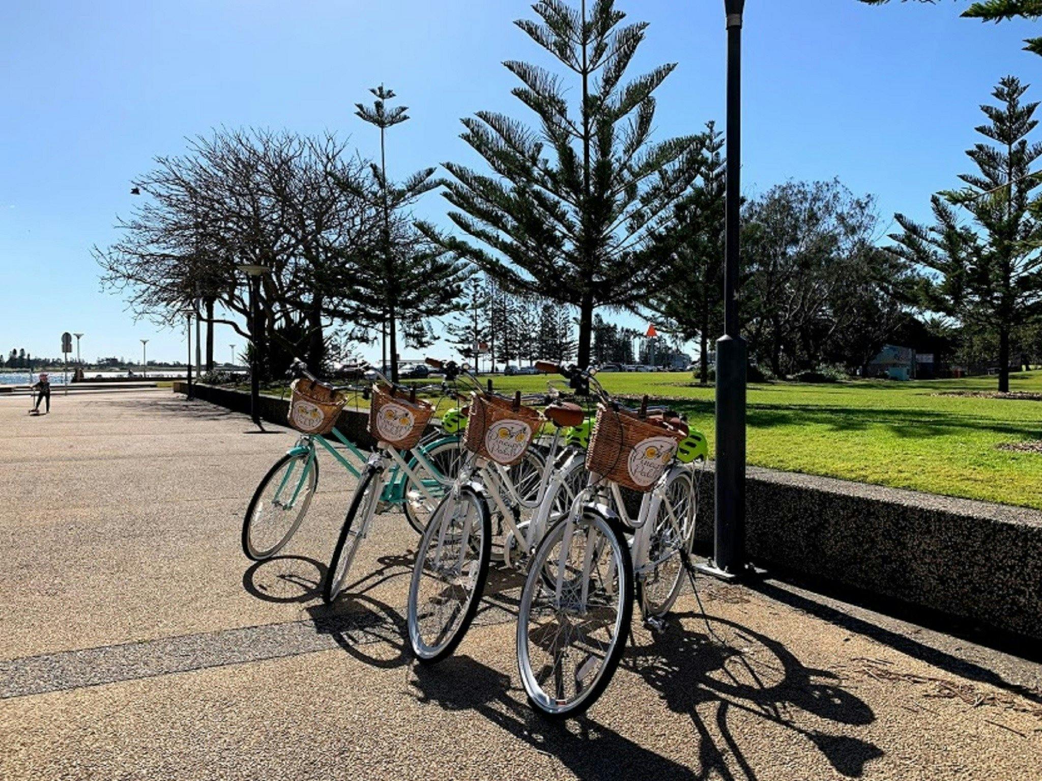 Pineapple Pedals Bike Tours Visit Newcastle