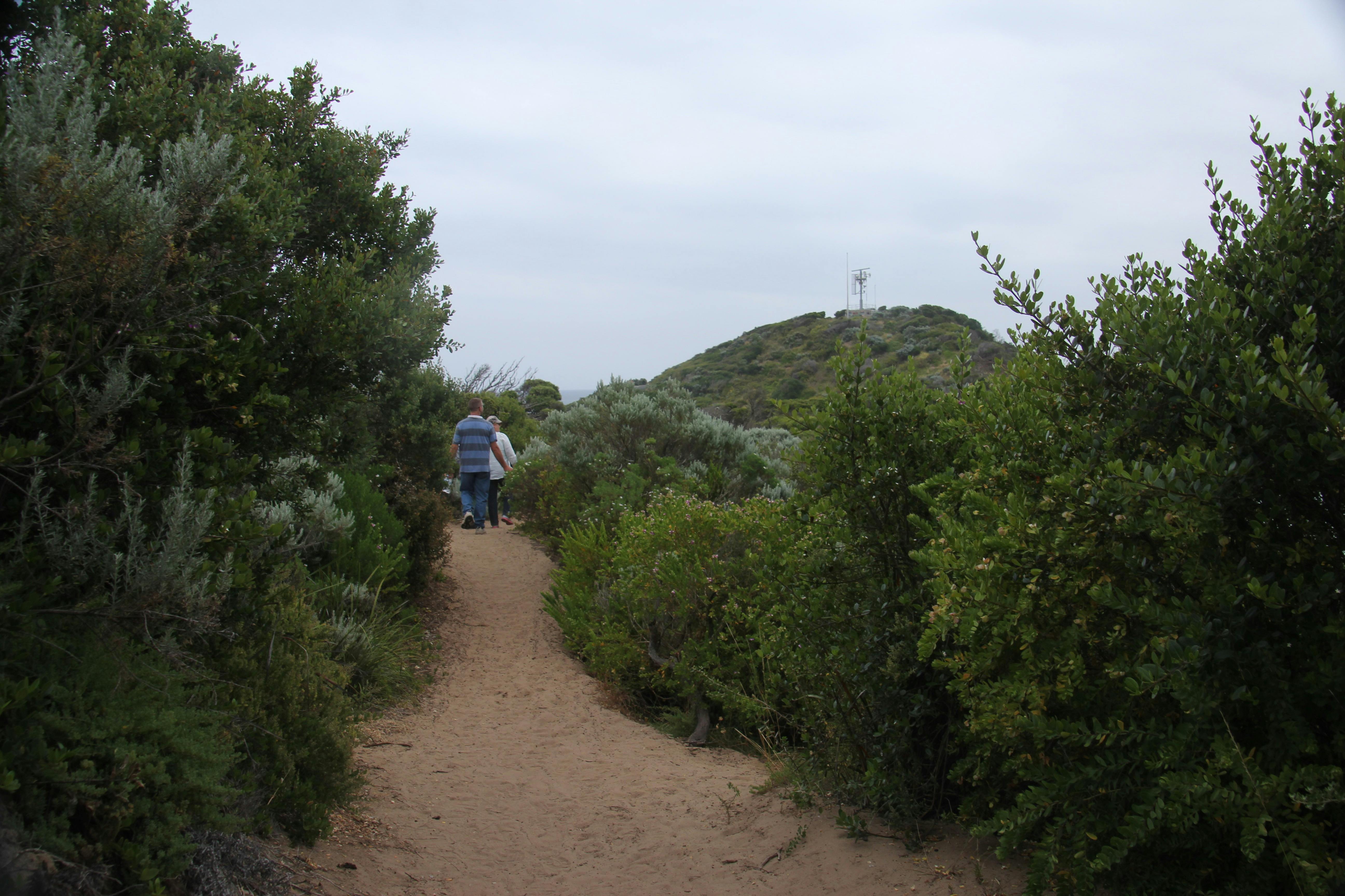 Range Area Walk (Point Nepean National Park) edit