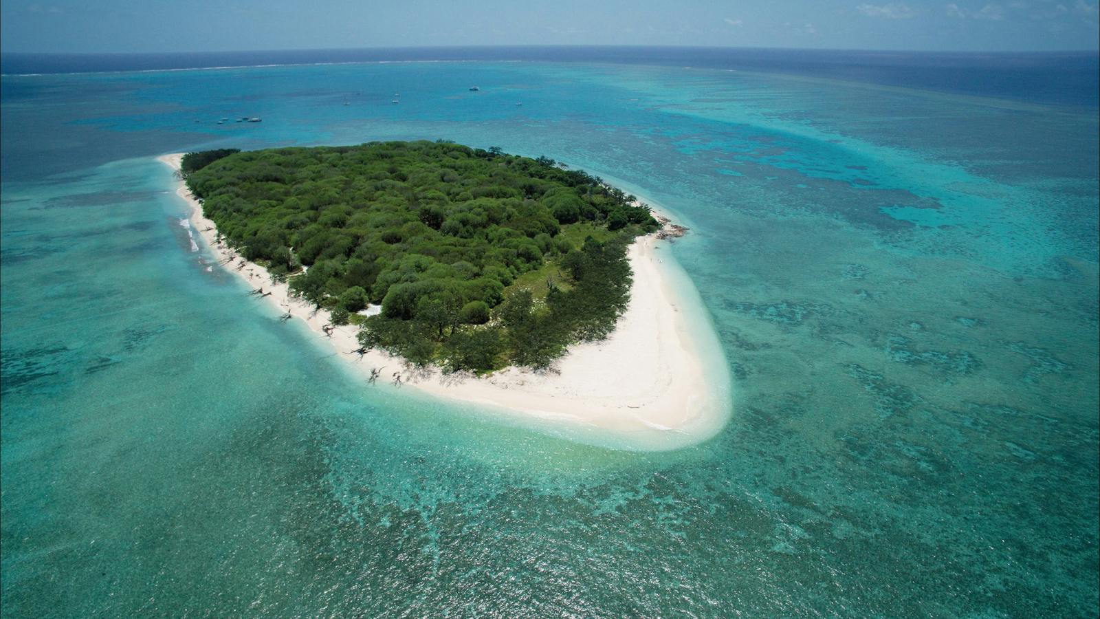 Lady Musgrave Island