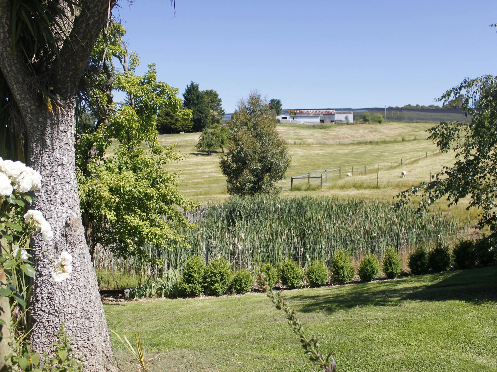 Country garden at Huon Country Cottage