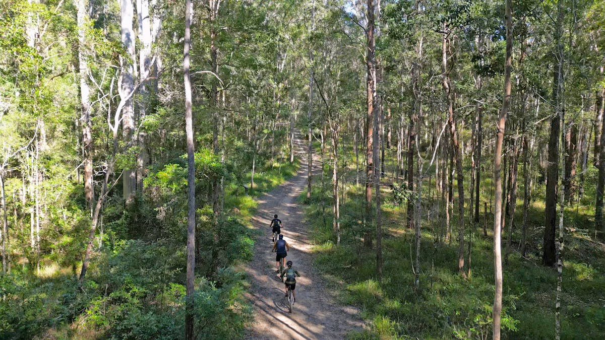 Mountain biking trails Noosa hinterland