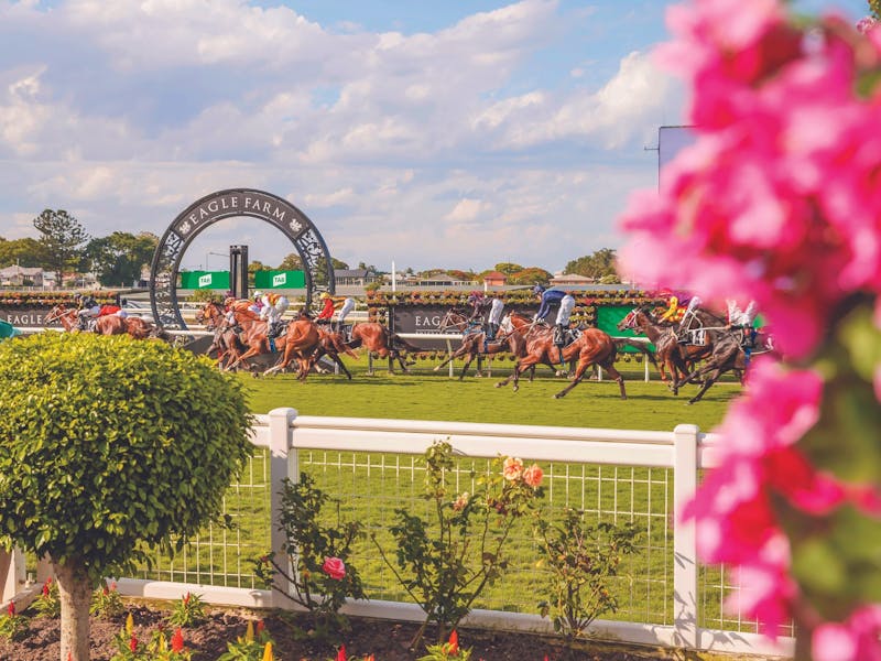 Image for Queensland Guineas Day Eagle Farm Racecourse
