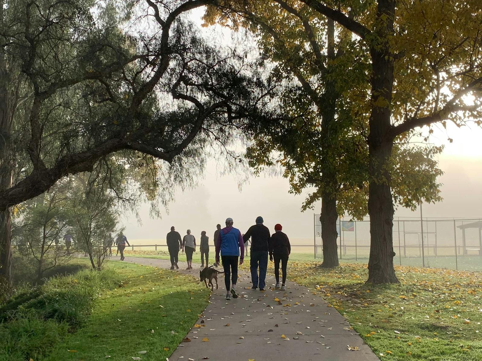 Walkers enjoying the event