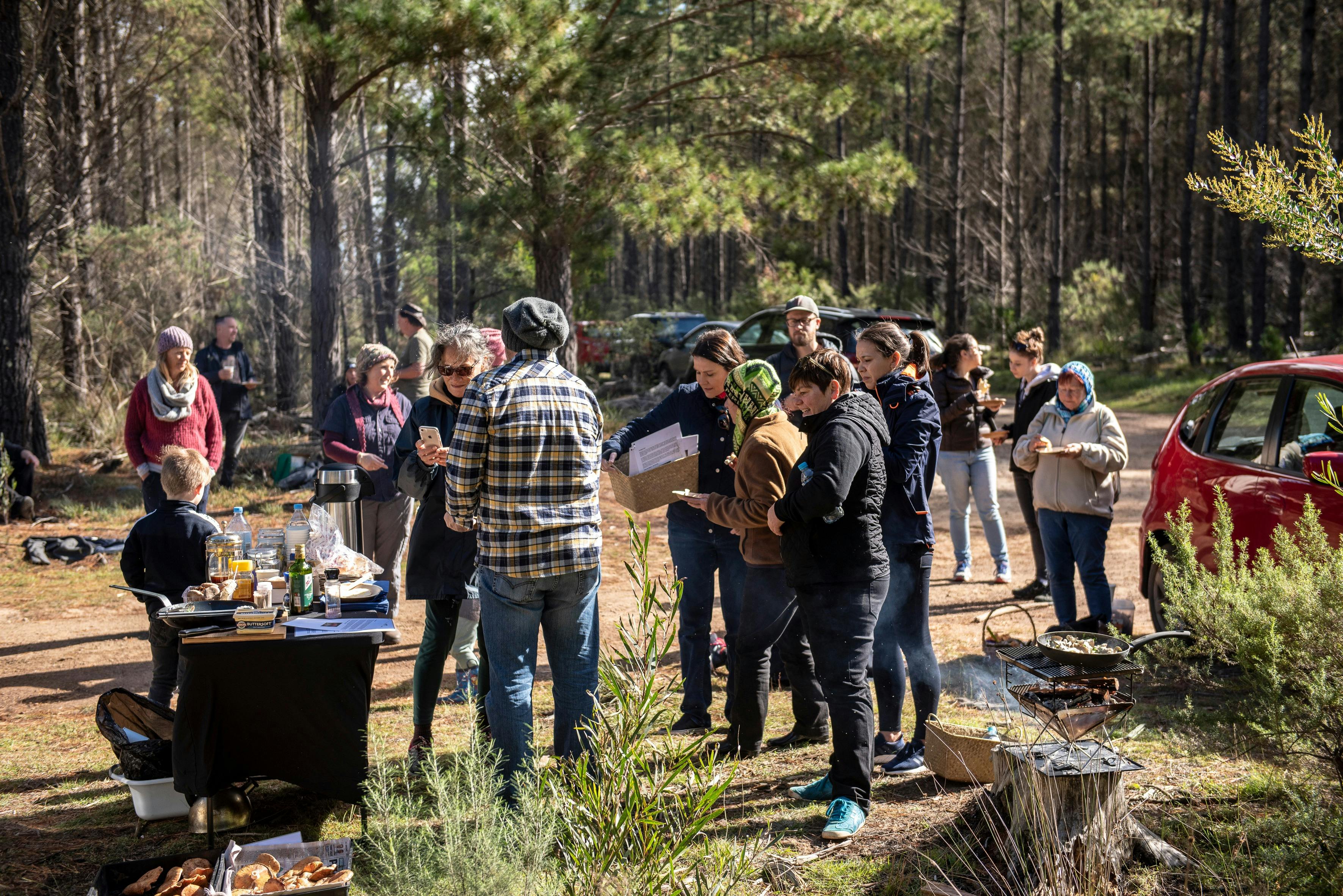 Mushroom Foraging Workshops