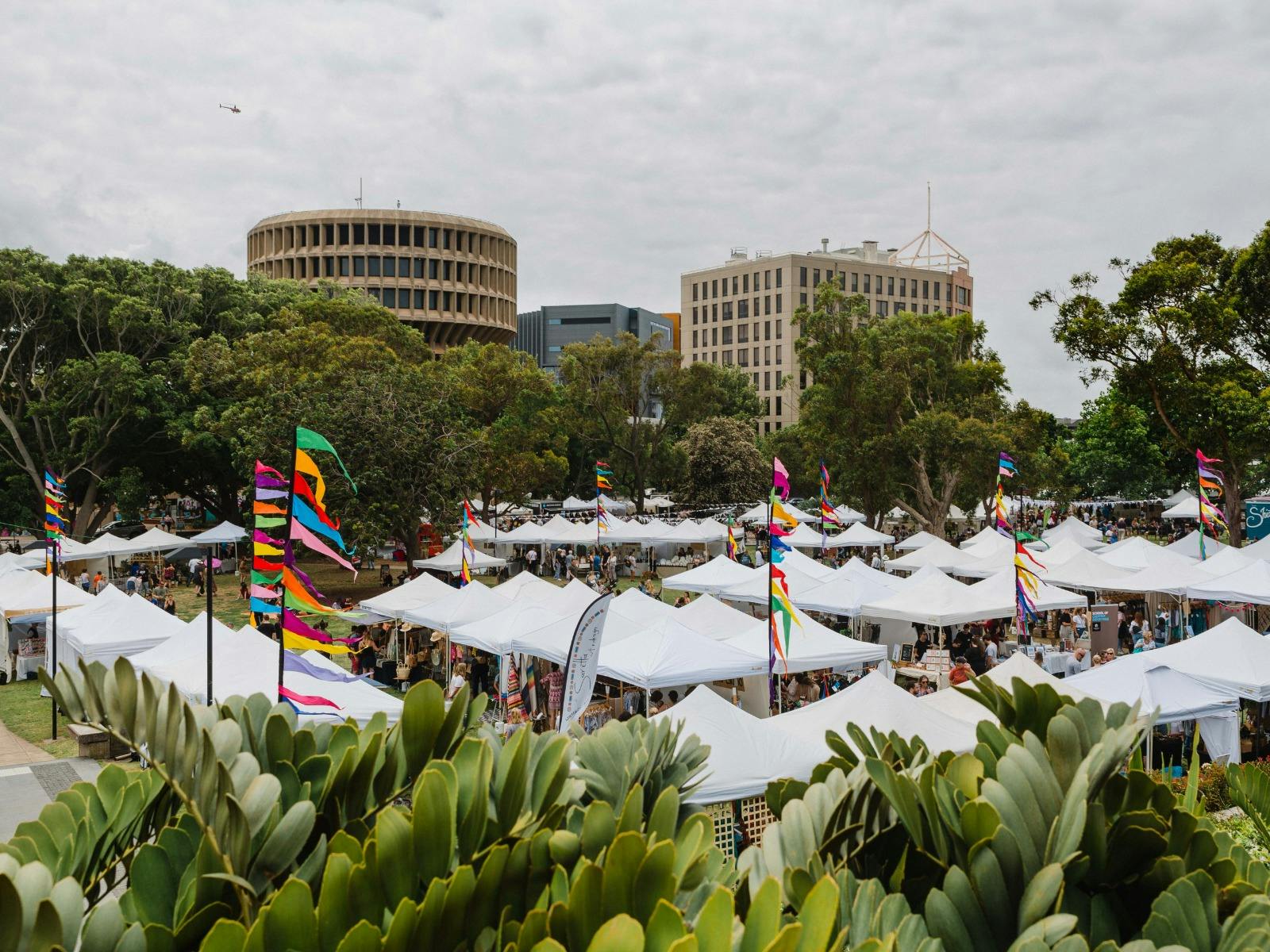 The Olive Tree Market pops up every month in Civic Park at The Olive Tree Market