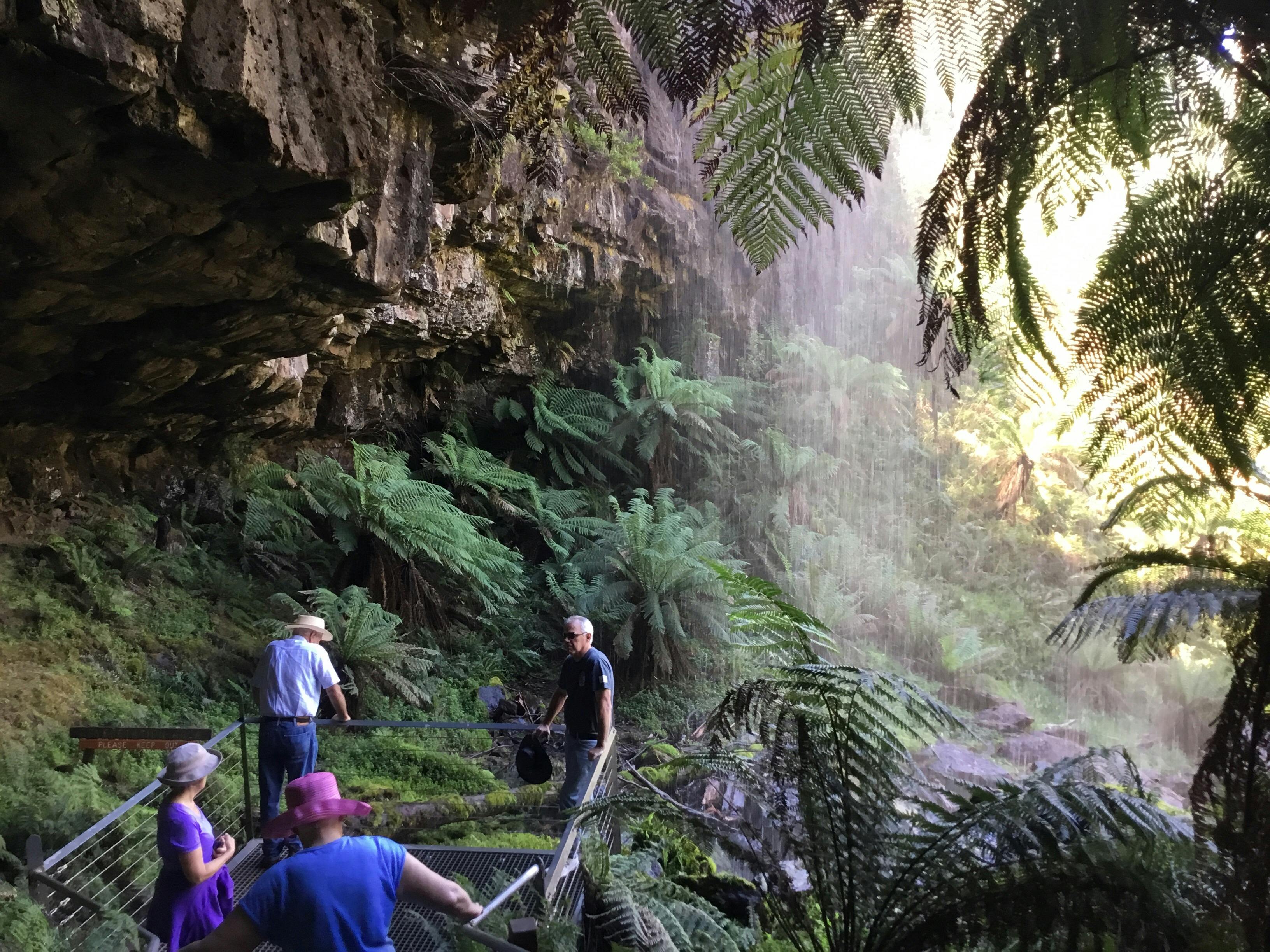 High Country Scenic Tours - Bindaree Falls