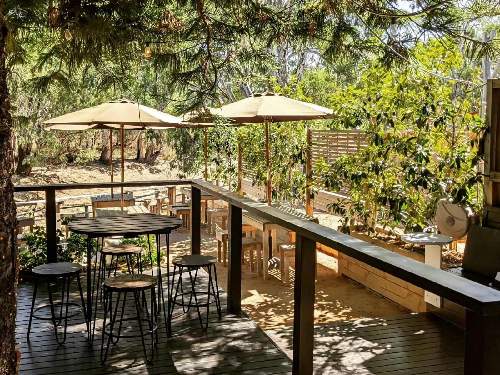 outdoor seating area with umbrellas