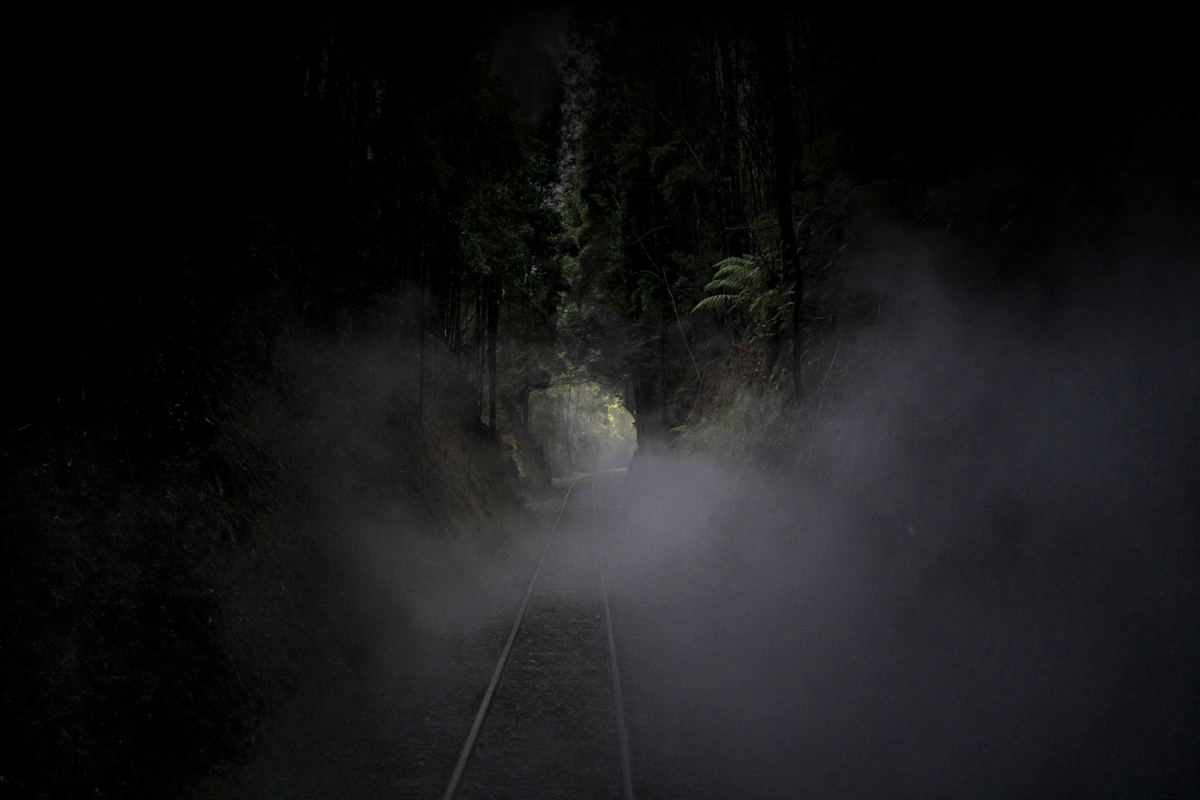 A railway track disappears into mist, winding through dense rainforest with tall trees and ferns