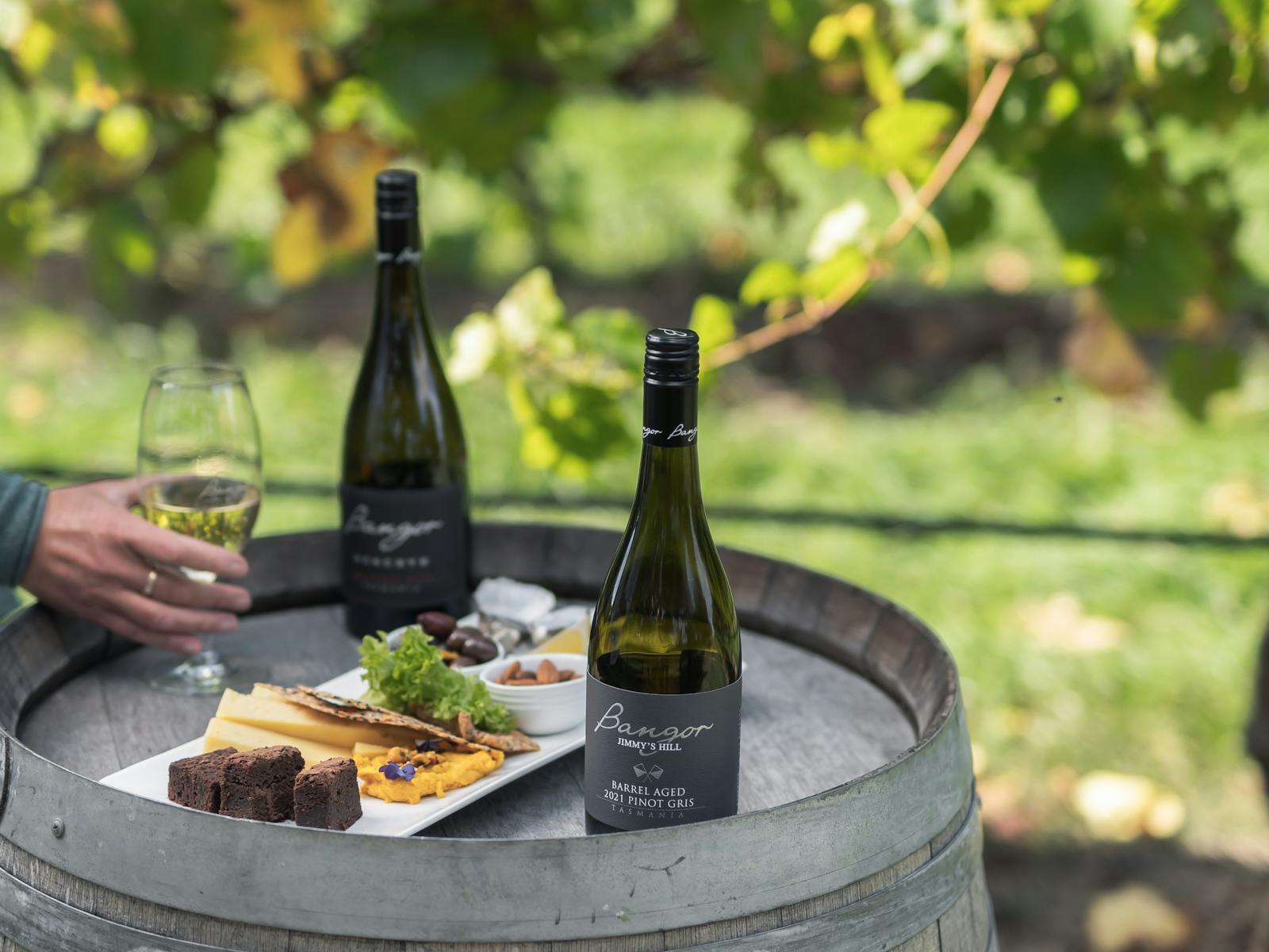Enjoy a paired wine and food experience in Bangor Vineyard