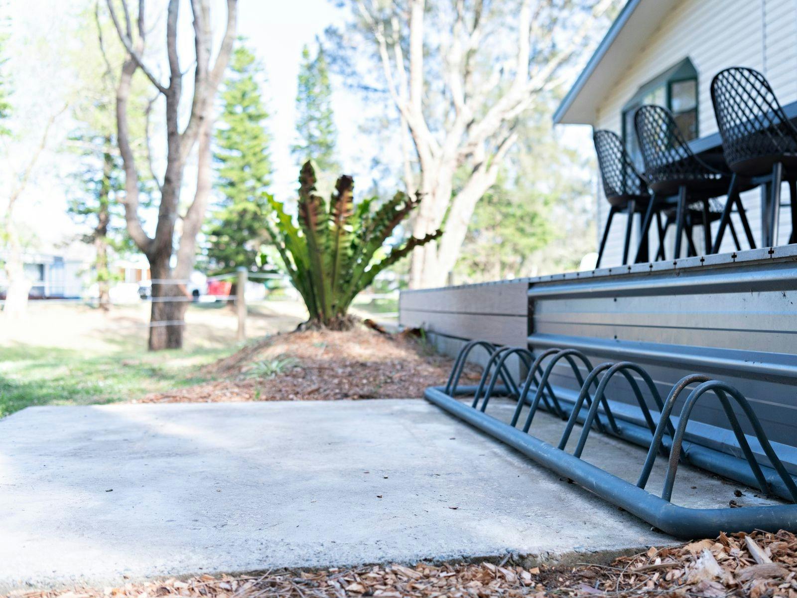 Close to Mogo Trails