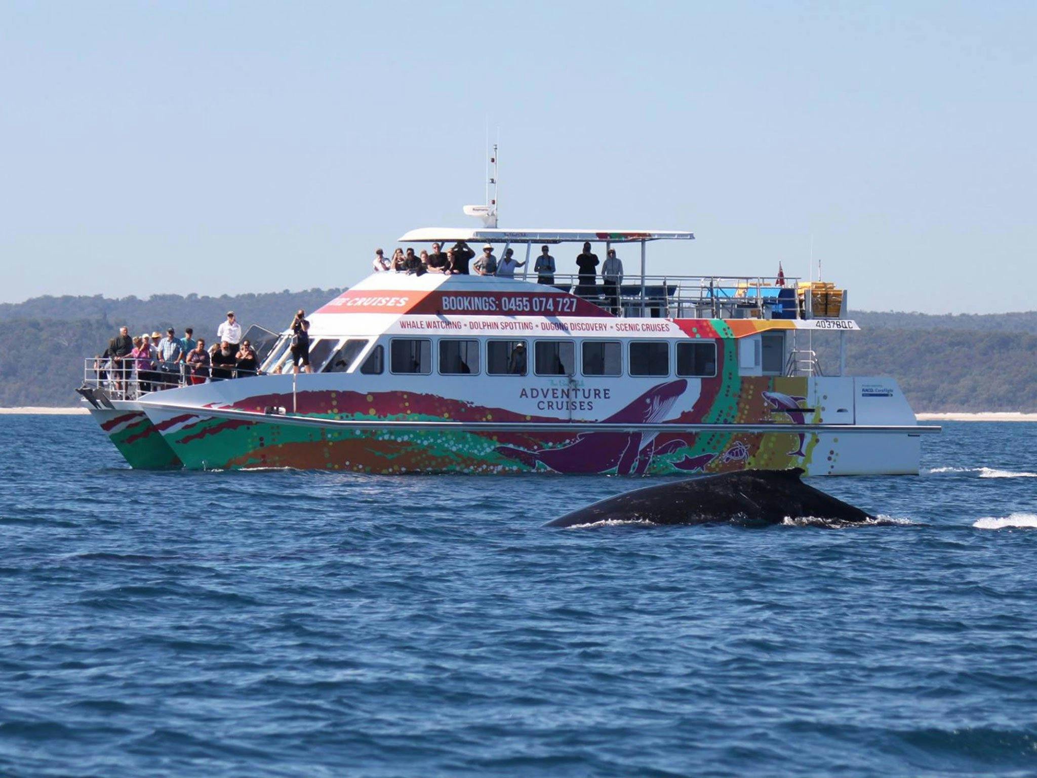 boat club amaroo whale watching