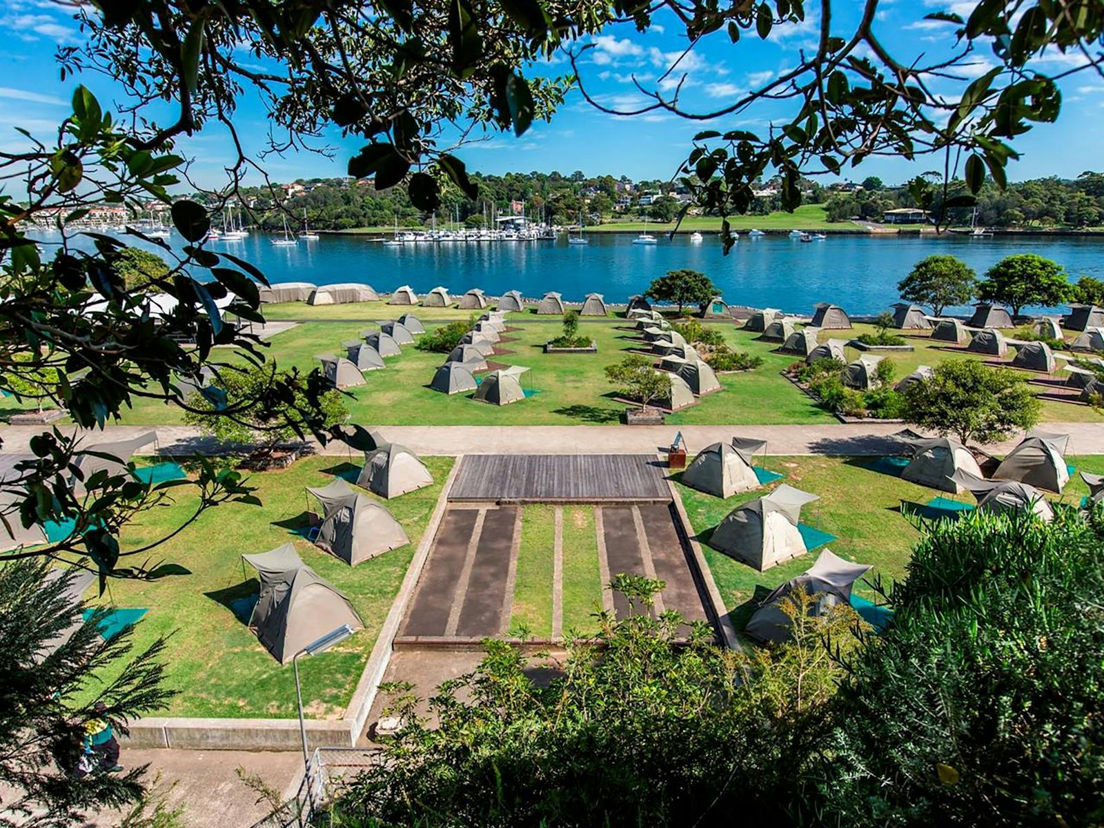 コカトゥーアイランドキャンプ