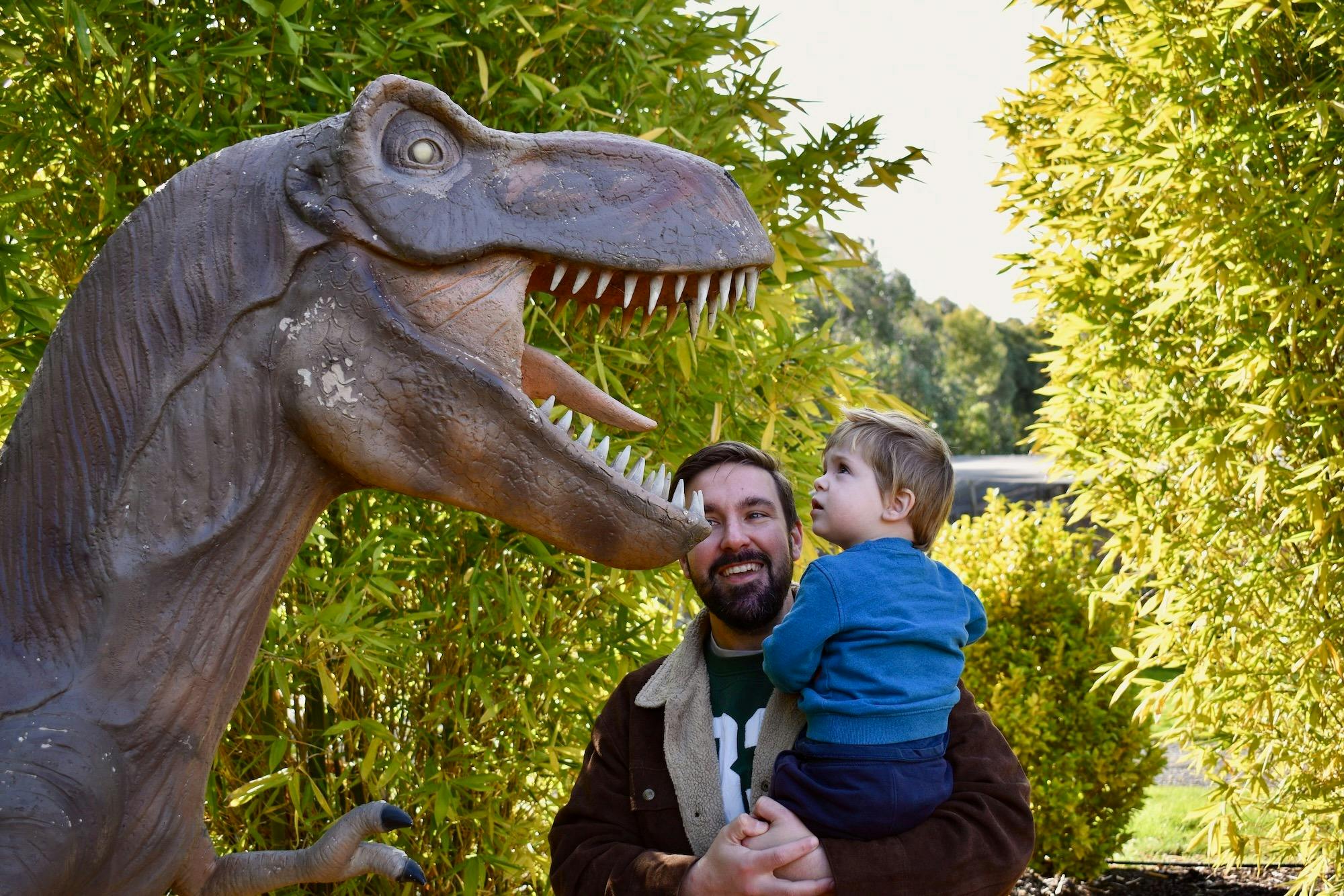Meet the T-Rex