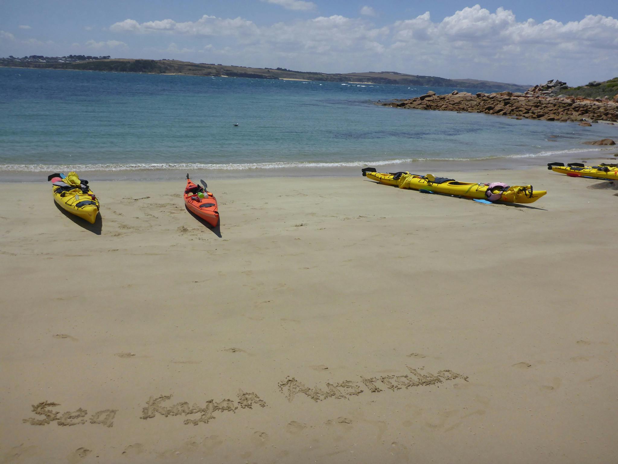 Phillip island Sea Kayak Tour