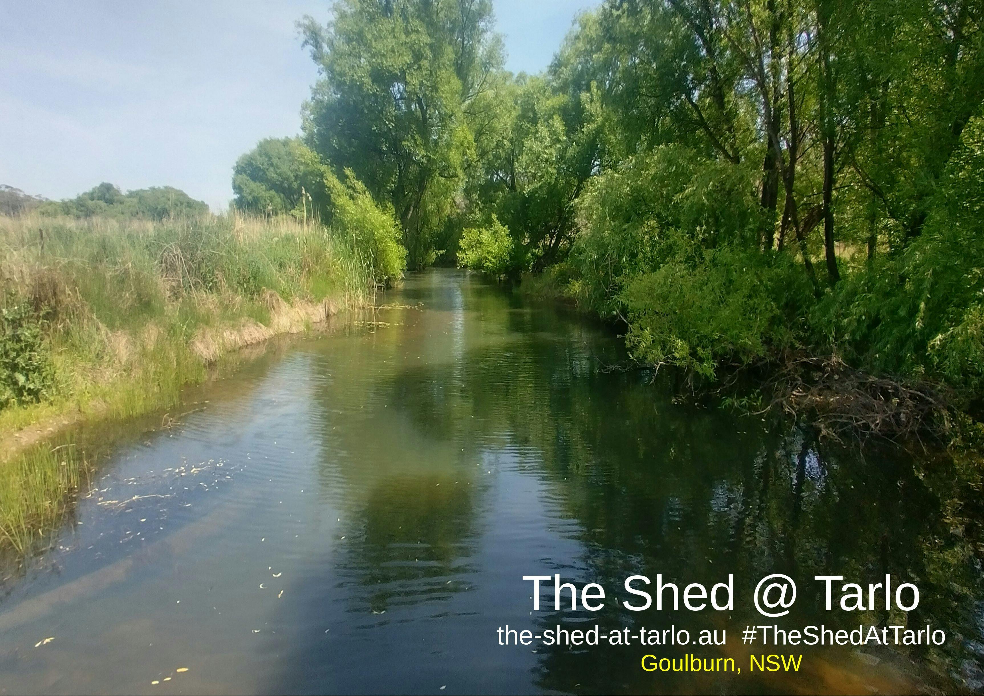 The cool waters of the Tarlo River