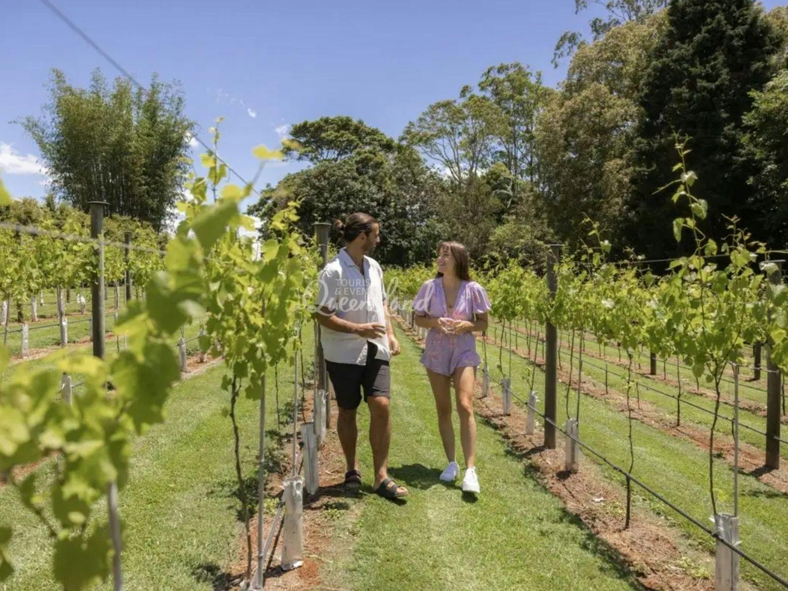 Enjoy a wine tasting with views