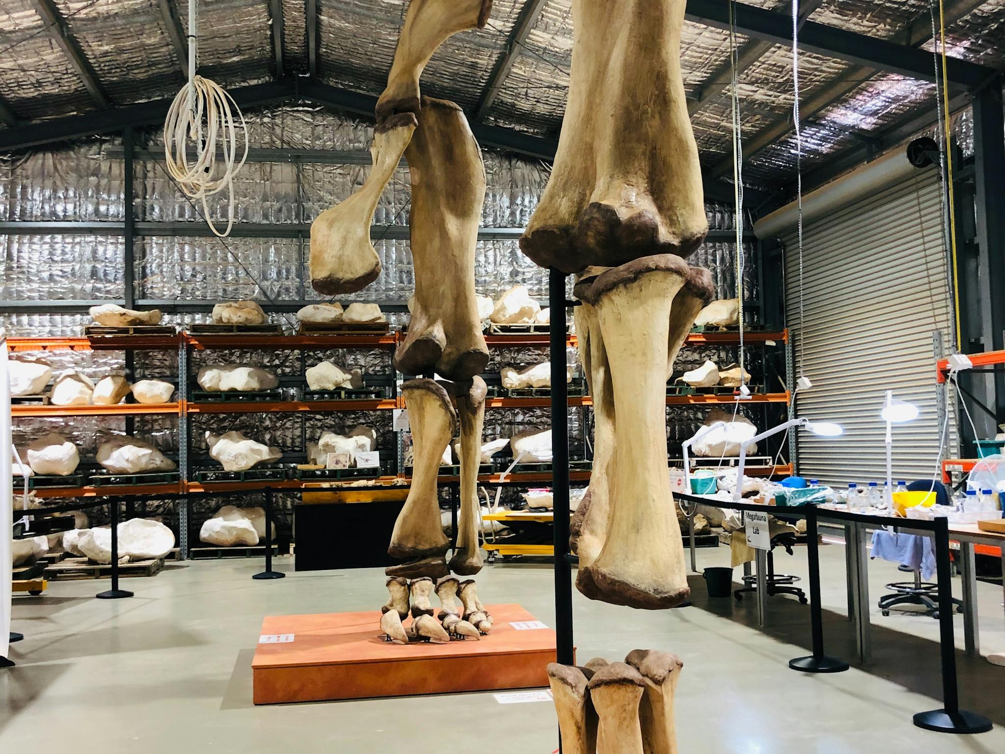 Eromanga Natural History Museum Eromanga Natural History Museum