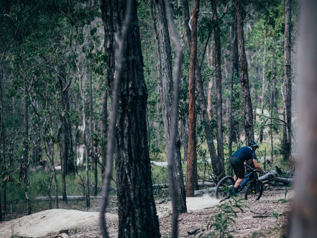 Bike tracks best sale gold coast