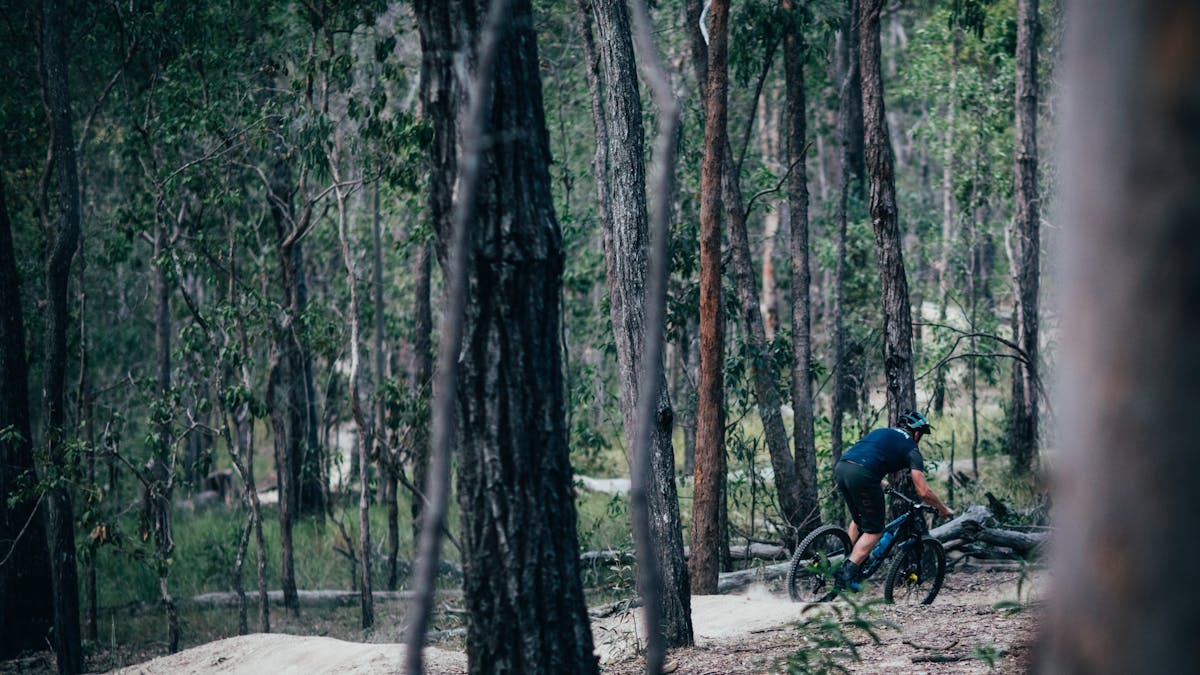 Trail bike