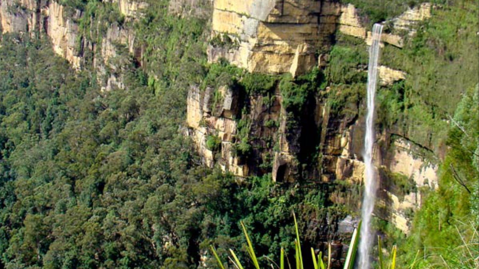 Cliff Top walking track