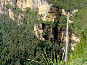 If you’re after an energetic walk while taking in the natural beauty of Blue Mountains National Park