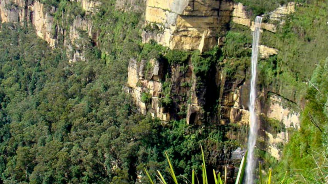 Cliff Top walking track